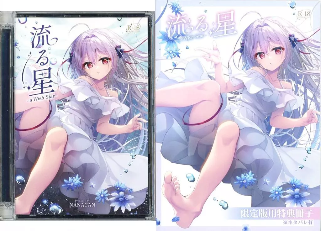 流る星 -a Wish Star-[初回限定版/特典冊子付] / NANACAN