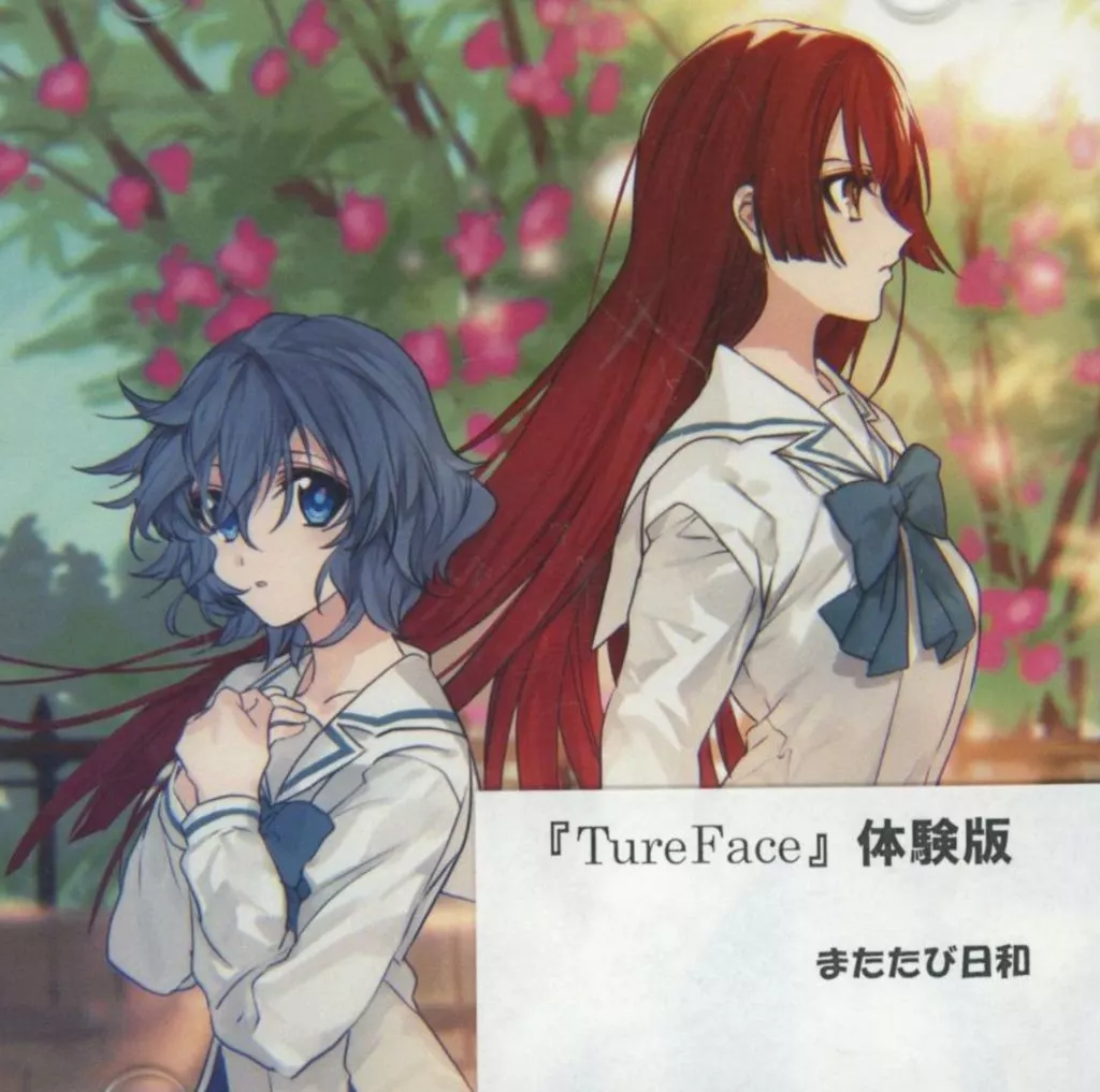 True Face 体験版 / またたび日和