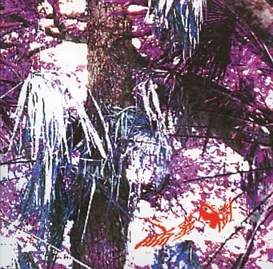 駿河屋 - 【買取】畸茎樹 / T-Rify.D（ミュージック）