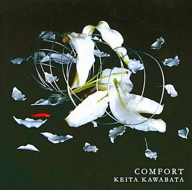 COMFORT/KEITA KAWABATA / バター工房