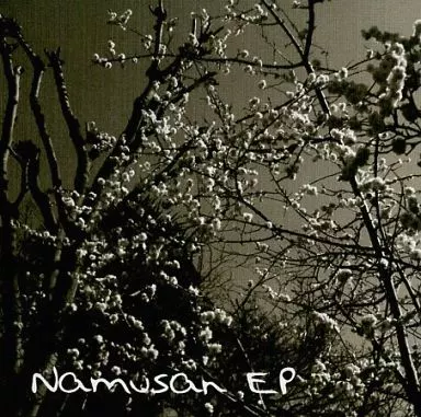 　namusan EP / デスゴラク_image