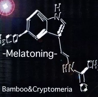 Melatoning / Bamboo＆Cryptomeria