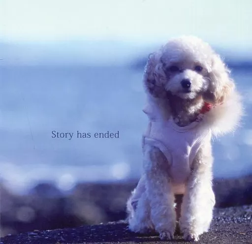 cordelia(花たん)『Story has ended』 駿河屋 -<中古>Story has ended / cordelia（ミュージック）