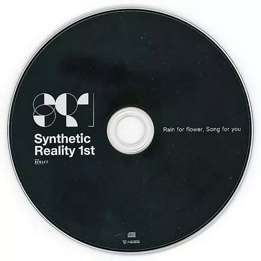 アニメ Synthetic Reality 1st THE BINARY 駿河屋 -<中古>Synthetic Reality 1st / THE BINARY（ミュージック）