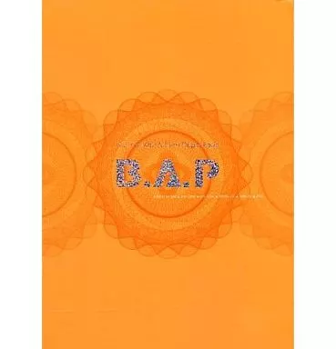 B.A.P 1st MiniAlbum Repackage直筆サイン入りアルバム B.A.P 1st MiniAlbum Repackage直筆サイン入りアルバム CD