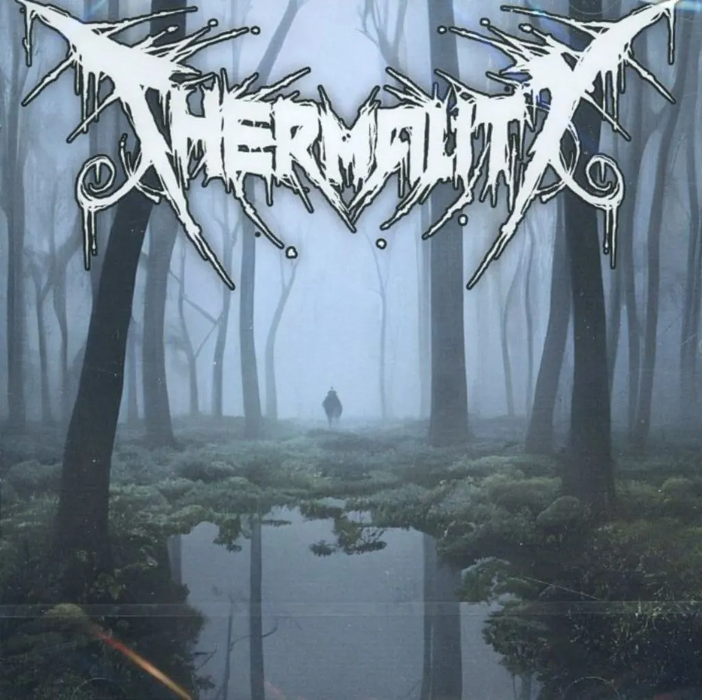 THERMALITY / BEFORE I GET TO REST[輸入盤]