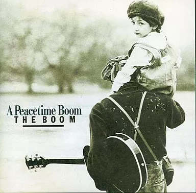 邦楽 THE BOOM 楽天市場】【正規品 本人歌唱】THE BOOM ザ・ブーム CD ベスト・ヒット