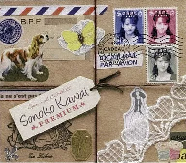 河合その子 / 河合その子プレミアム