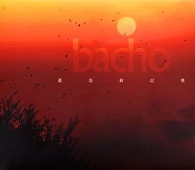 bacho「最高新記憶」「Boy Meet Music」 CD 駿河屋 -<中古>bacho / 最高新記憶（邦楽）