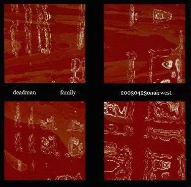 deadman family 配布CD 東京版 deadman family 配布CD 東京版 deadman