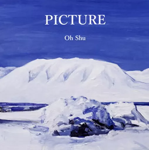 王舟/ PICTURE アナログレコード（未再生） 王舟/ PICTURE アナログレコード（未再生）