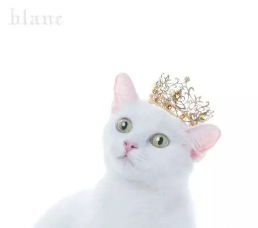 Aimer / BEST SELECTION ”blanc”[Blu-ray付初回限定盤A]