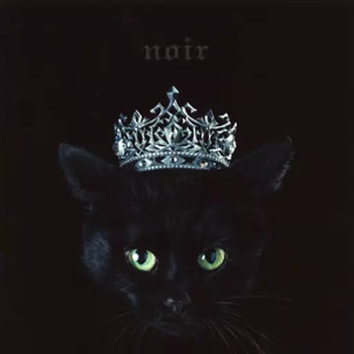 邦楽CD　Aimer / BEST SELECTION ”noir”[通常盤]