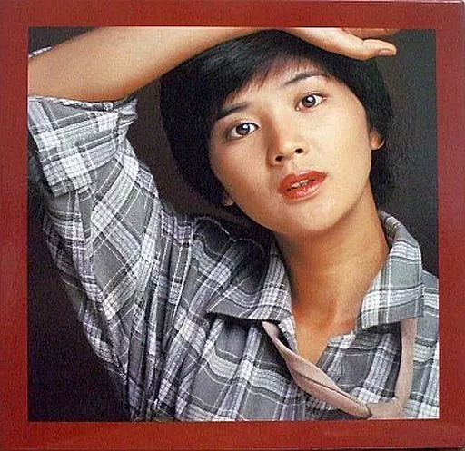 駿河屋 -<中古>桜田淳子 / 桜田淳子BOX ～そよ風の天使～(状態：DVD