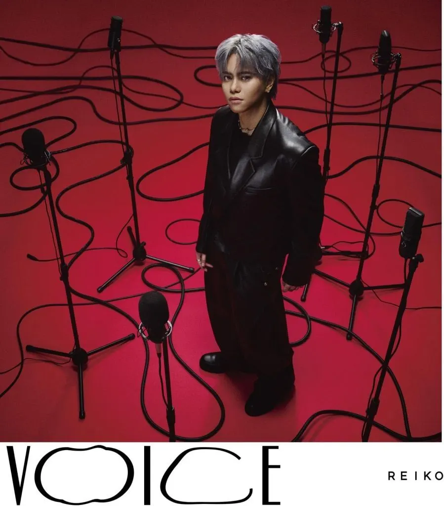 REIKO / VOICE[DVD付初回限定盤(REIKO’s Winterland盤)]