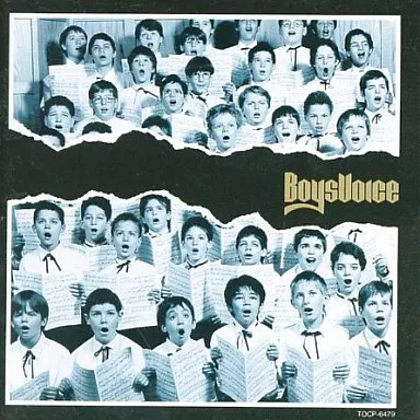 洋楽CD　ボーイズヴォイス / BOYSVOICE(廃盤)
