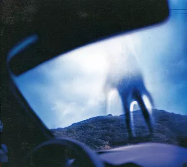 駿河屋 -<中古>ナイン・インチ・ネイルズ / イヤー・ゼロ～零原点…（洋楽）