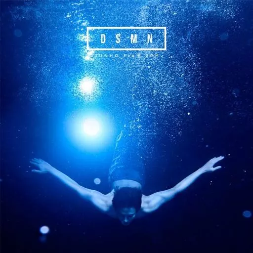 駿河屋 -<中古>JUNHO(from 2PM) / DSMN[完全生産限定盤]（アジア）