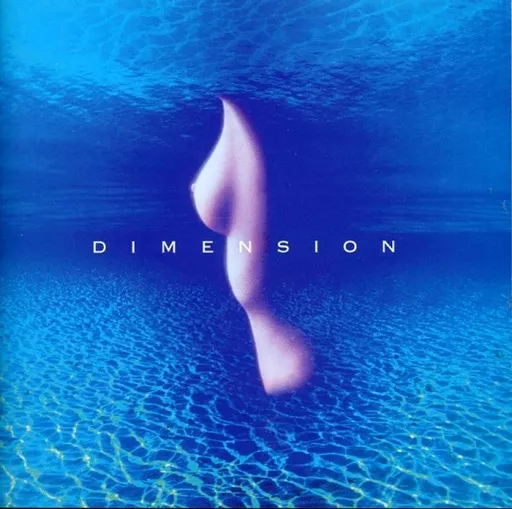 DIMENSION / FIRST DIMENSION