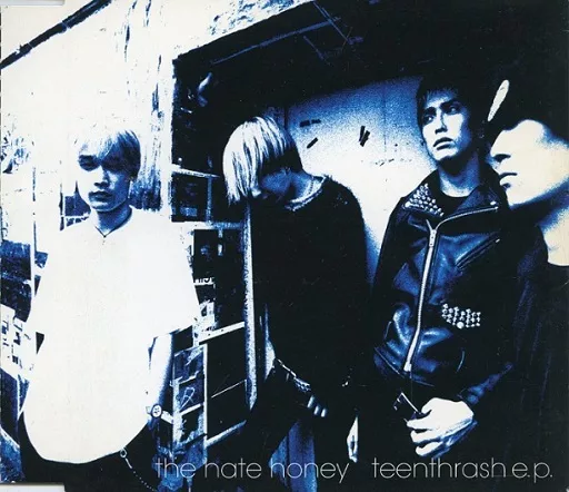 THE HATE HONEY teenthrash e.p. ポスター THE HATE HONEY teenthrash e.p. ポスター - メルカリ