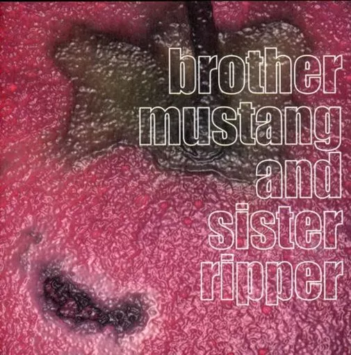 駿河屋 -<中古>the god and death stars / brother mustang and