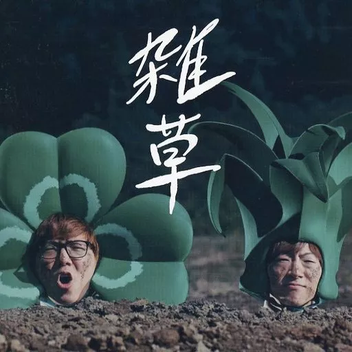 駿河屋 -<中古>HIKAKIN ＆ SEIKIN / 雑草(状態：ステッカー欠品)（邦楽）