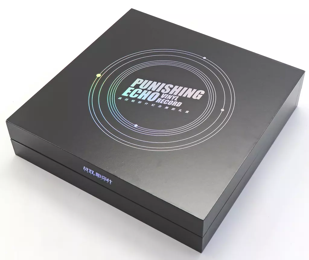 LPレコード　Punishing Echo Vinyl Record[輸入盤]