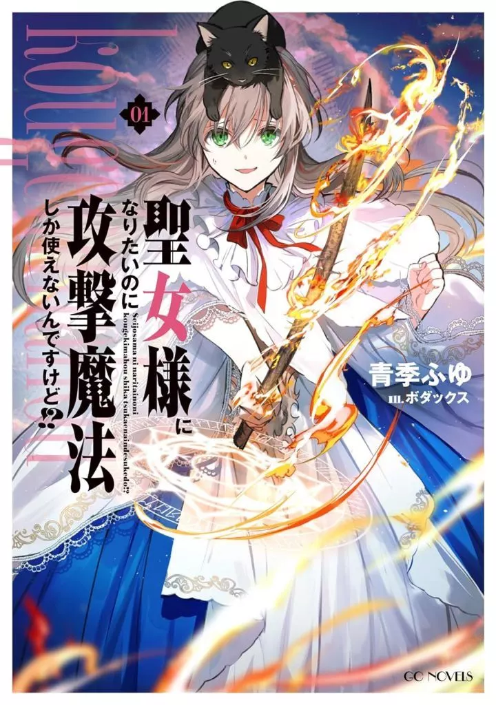 聖女様になりたいのに攻撃魔法しか使えないんですけど！？(1) / 青季ふゆ