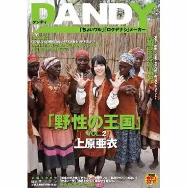 ランク王国　エロ エロRPG「DREAMLAND -夢魔の王国-」 P缶 | 同人ゲーム感想.com