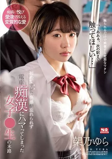 初めてサレた快感が忘れられず電車痴漢にハマってしまった女子●生の末路 / 架乃ゆら