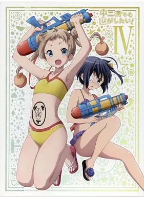 中二病でも恋がしたい! 4[初回生産限定版]