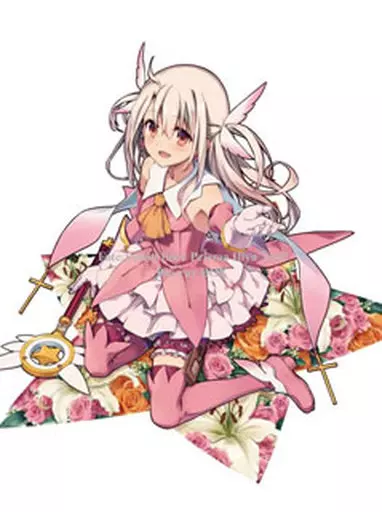 Fate/kaleid liner プリズマ☆イリヤ ドライ!! Blu-ray BOX