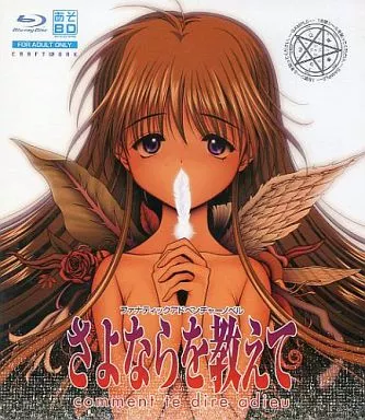 さよならを教えて　販促B2ポスター A29723 さよならを教えて 販促 告知 B2ポスターの落札情報詳細 - Yahoo
