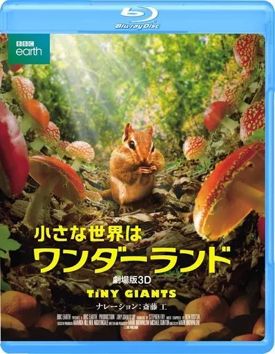小さな世界はワンダーランド('14英) 小さな世界はワンダーランド(洋画 / 2014) - 動画配信 | U-NEXT 31日間