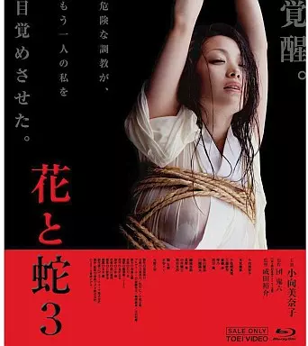 花と蛇 3