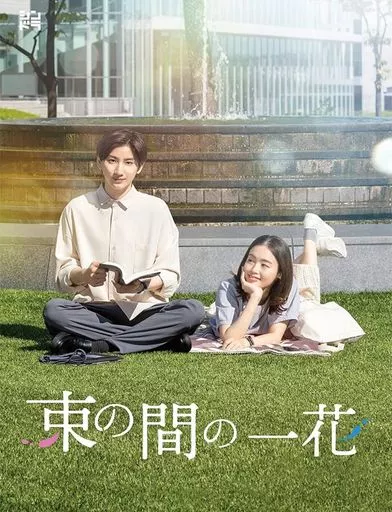 国内TVドラマBlu-ray　Disc　束の間の一花 Blu-ray BOX [初回プレス版]
