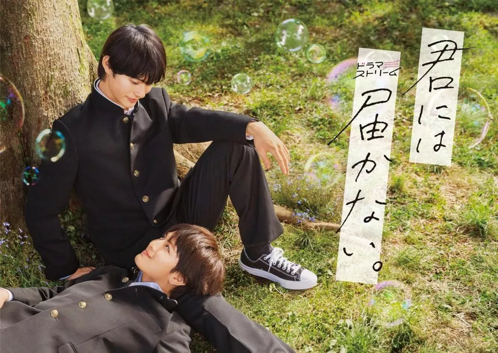 国内TVドラマBlu-ray　Disc　君には届かない。 Blu-ray BOX