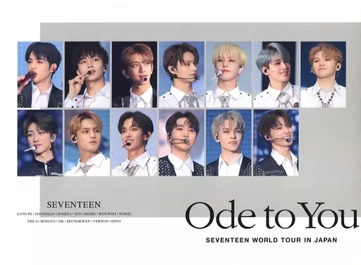 送料無料 いつまで ウォヌ SEVENTEEN TOUR 'FOLLOW' TO JAPAN SEVENTEENTH HEAVEN タレントカード