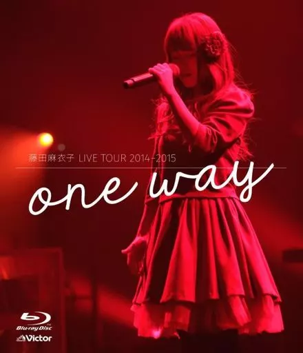 藤田麻衣子 LIVE TOUR 2014-2015～one way～