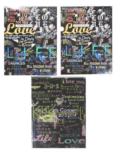 駿河屋 -<中古>不備有)KinKi Kids / Concert 2013-2014 「L」 [初回