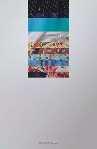 LIVE TOUR V6 groove [初回盤A]