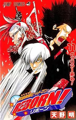 家庭教師ヒットマンREBORN!(11)