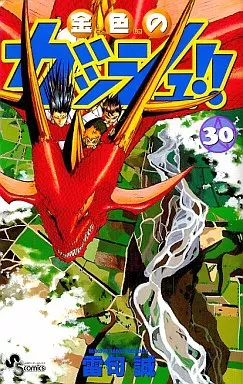 駿河屋 -<中古>金色のガッシュ!!(30) / 雷句誠（少年コミック）