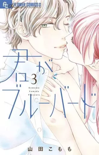 君がブルーバード(3) / 山田こもも