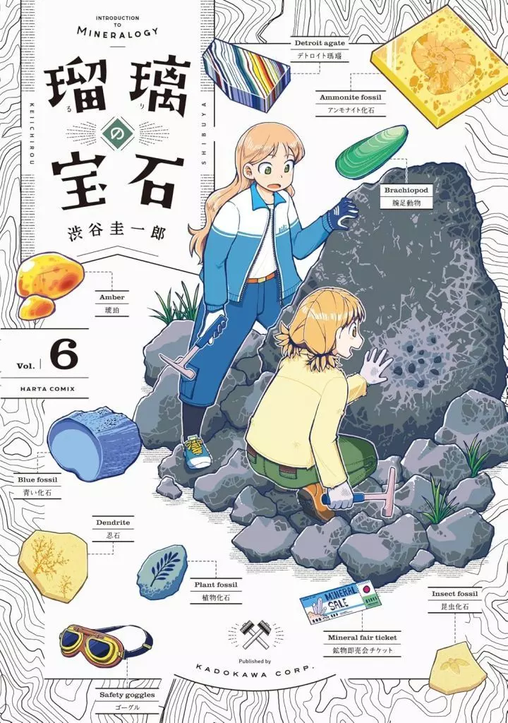 瑠璃の宝石(6) / 渋谷圭一郎