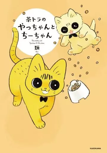 茶トラのやっちゃんとちーちゃん / 類