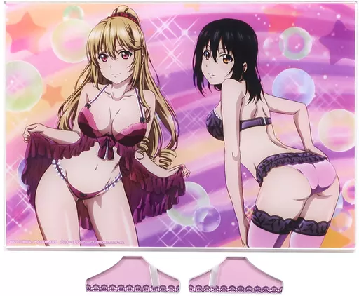 姫柊雪菜＆藍羽浅葱 ランジェリーver. ビジュアルアクリルプレート 「ストライク・ザ・ブラッドIII」