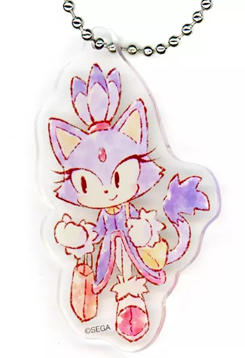 OneMall provides Suruga-ya products: 雑貨 ブレイズ アクリル 