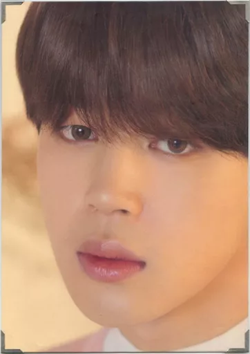 BTS WORLD TOUR  プレミアムフォト パネル  ジミン JIMIN 駿河屋 - 【買取】ジミン(BTS/防弾少年団) プレミアムフォト(パネル