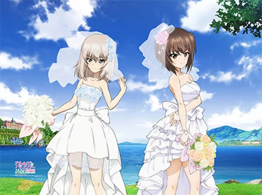 西住まほ＆逸見エリカ(ウェディング) カーテン(約90×135cm/2枚組) 「ガールズ＆パンツァー 最終章」